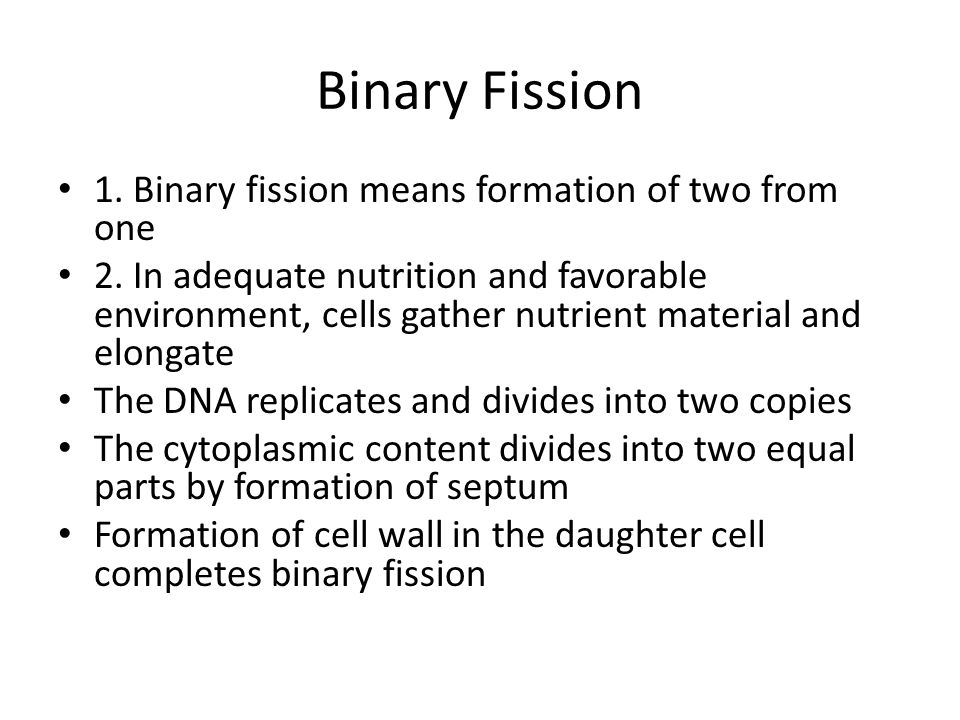 Binary Fission 1. Binary fission means formation of two from one 2.