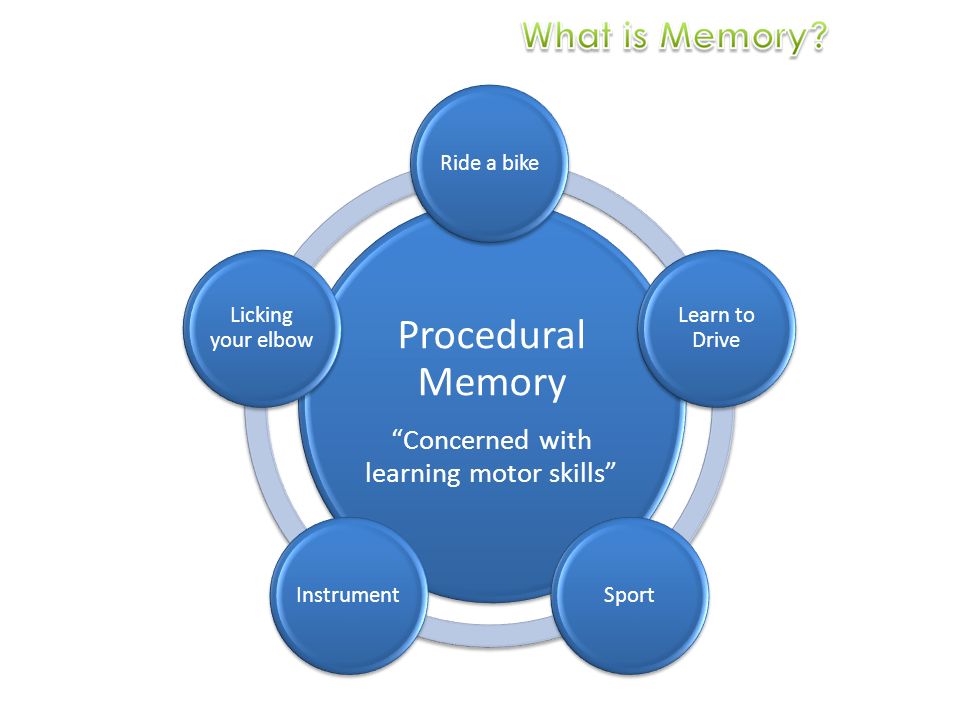 Procedural Memory Concerned with learning motor skills Ride a bike Learn to Drive SportInstrument Licking your elbow