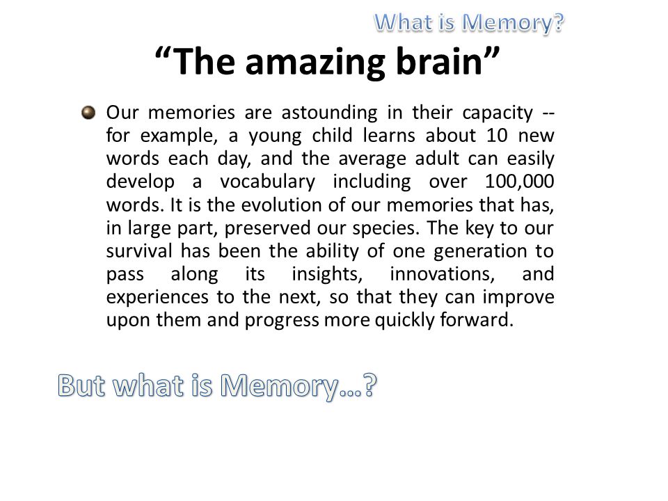The amazing brain Our memories are astounding in their capacity -- for example, a young child learns about 10 new words each day, and the average adult can easily develop a vocabulary including over 100,000 words.