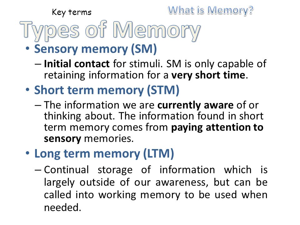 Key terms Sensory memory (SM) – Initial contact for stimuli.