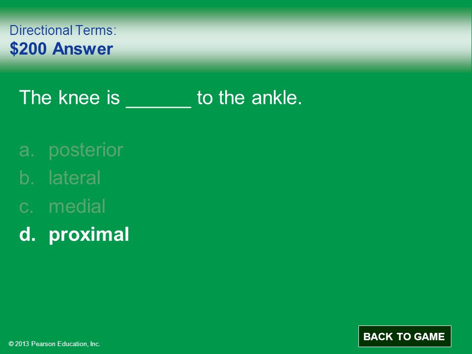 © 2013 Pearson Education, Inc. Directional Terms: $200 Answer The knee is ______ to the ankle.