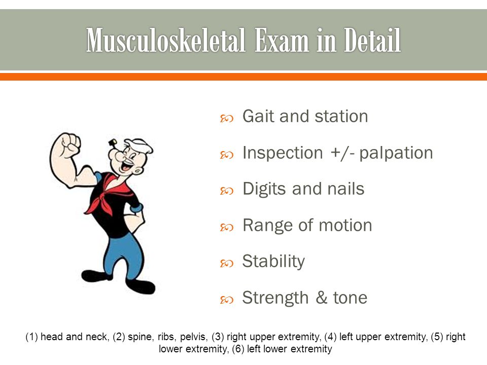 lecture 2 level 1 problem focused level 2 expanded problem gait and station