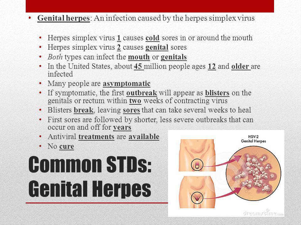 Can oral herpes be spread to genitals