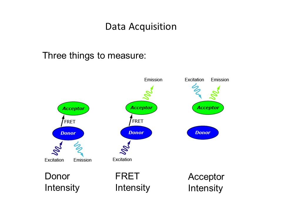 Data Acquisition Three things to measure: Donor Intensity FRET Intensity Acceptor Intensity