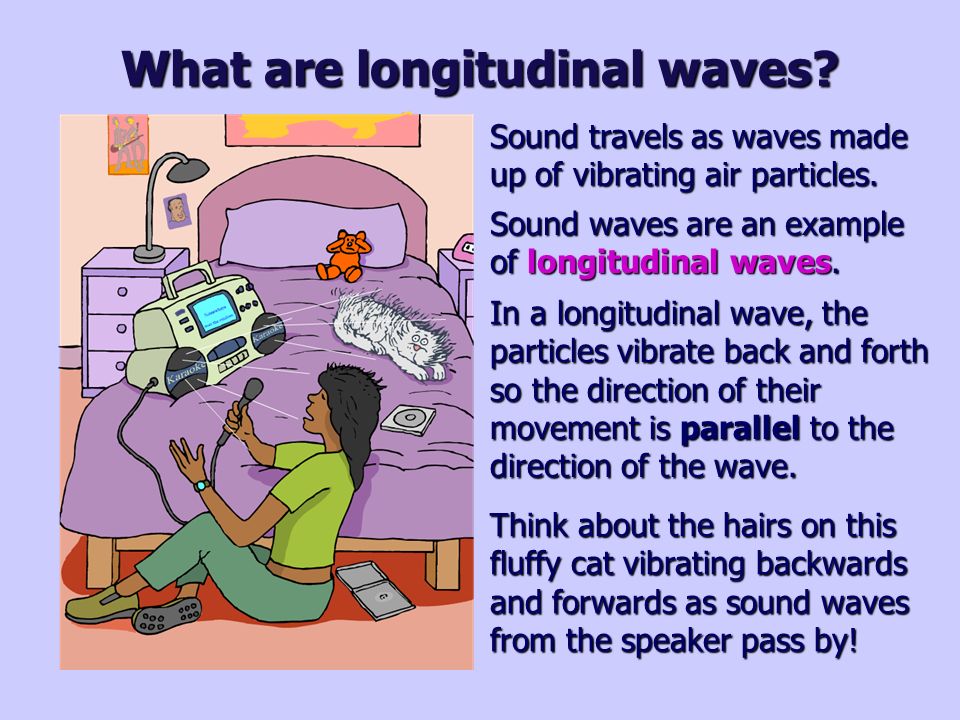 wave properties what are transverse waves when the surface of this