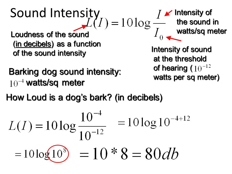 Barking dog sound intensity: watts/sq meter watts/sq meter Sound Intensity Loudness of the sound (in decibels) as a function (in decibels) as a function of the sound intensity of the sound intensity Intensity of the sound in the sound in watts/sq meter watts/sq meter Intensity of sound at the threshold at the threshold of hearing ( of hearing ( watts per sq meter) watts per sq meter) How Loud is a dog’s bark.