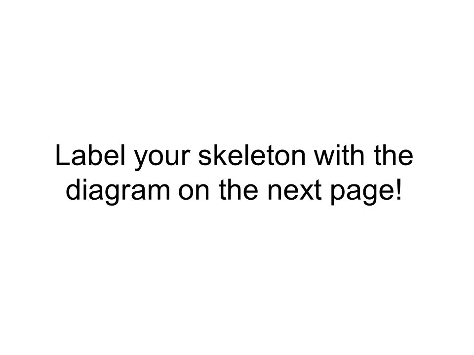 Label your skeleton with the diagram on the next page!