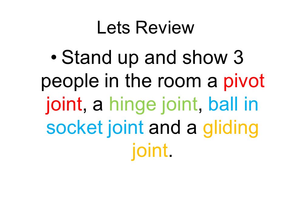 Lets Review Stand up and show 3 people in the room a pivot joint, a hinge joint, ball in socket joint and a gliding joint.