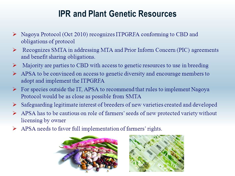 IPR and Plant Genetic Resources  Nagoya Protocol (Oct 2010) recognizes ITPGRFA conforming to CBD and obligations of protocol  Recognizes SMTA in addressing MTA and Prior Inform Concern (PIC) agreements and benefit sharing obligations.
