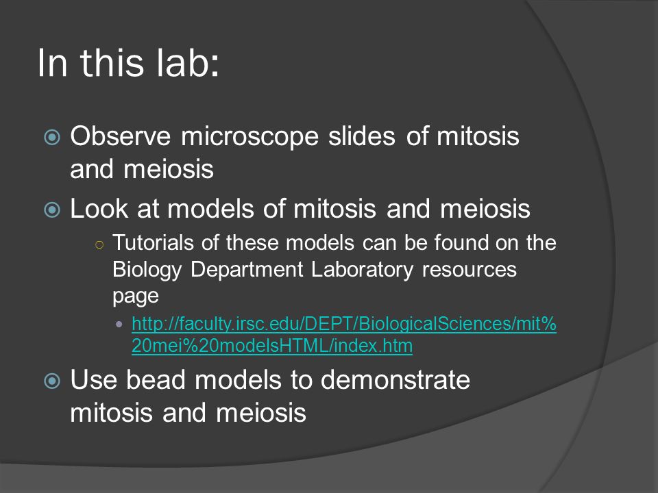 In this lab:  Observe microscope slides of mitosis and meiosis  Look at models of mitosis and meiosis ○ Tutorials of these models can be found on the Biology Department Laboratory resources page   20mei%20modelsHTML/index.htm   20mei%20modelsHTML/index.htm  Use bead models to demonstrate mitosis and meiosis