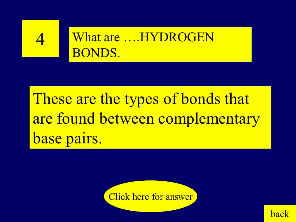 3 This is the sugar that is found in DNA. back Click here for answer What is ….DEOXYRIBOSE.