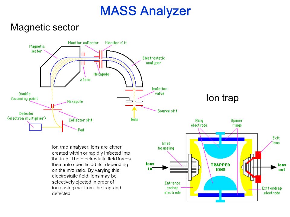 Magnetic sector Ion trap MASS Analyzer Ion analyser. Ions are either created within or rapidly infected into the trap. electrostatic forces. - ppt download
