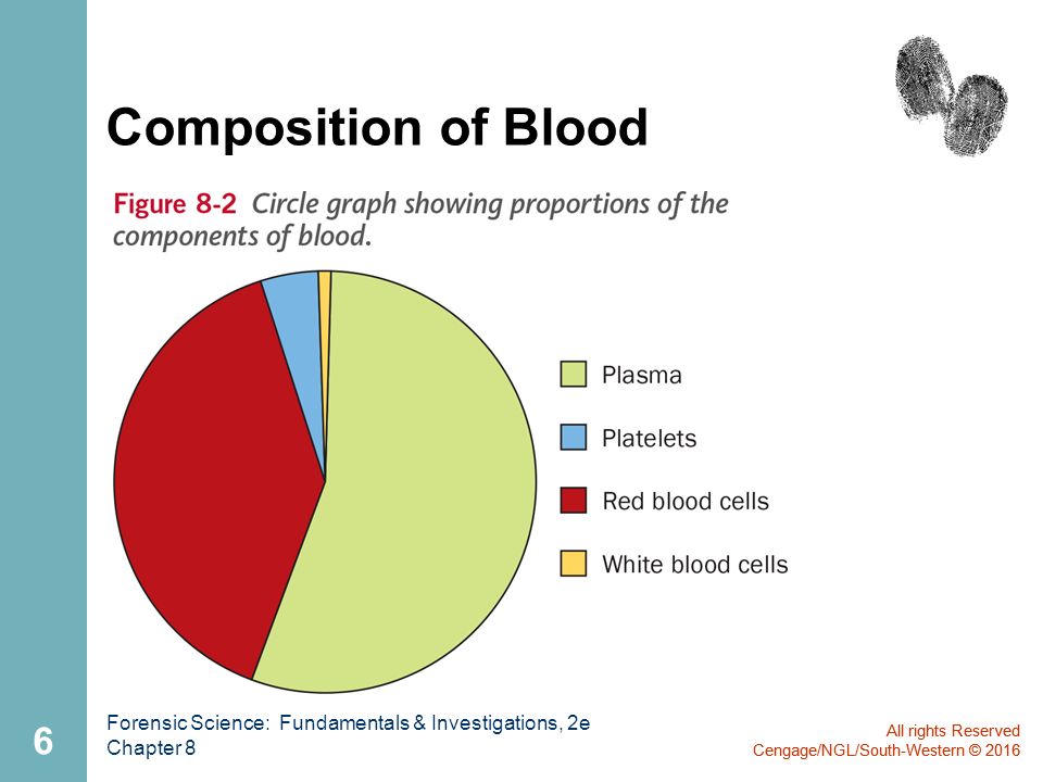 Components Of Human Blood Pie Chart