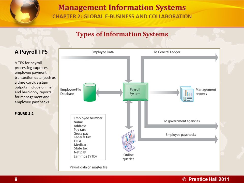 management information system example case study