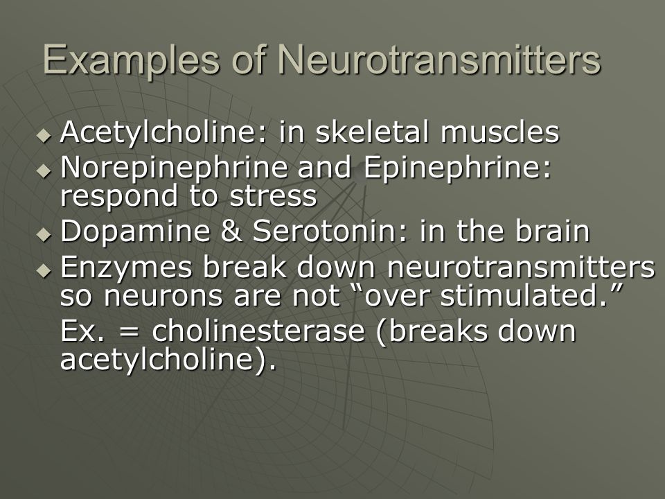 what enzyme breaks down norepinephrine