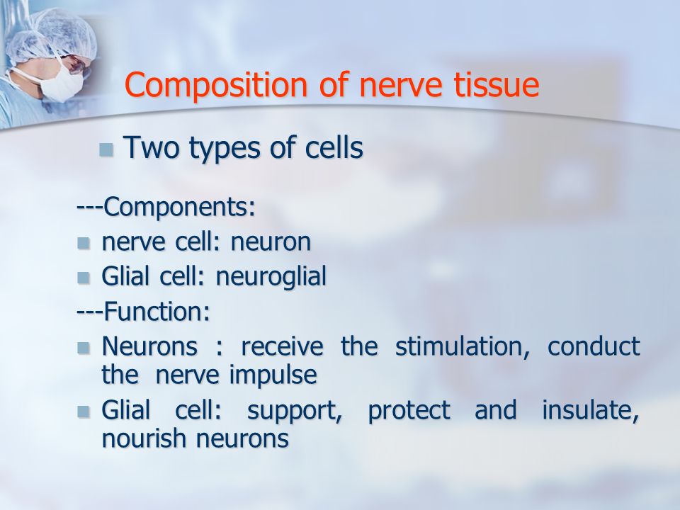 components of nervous tissue
