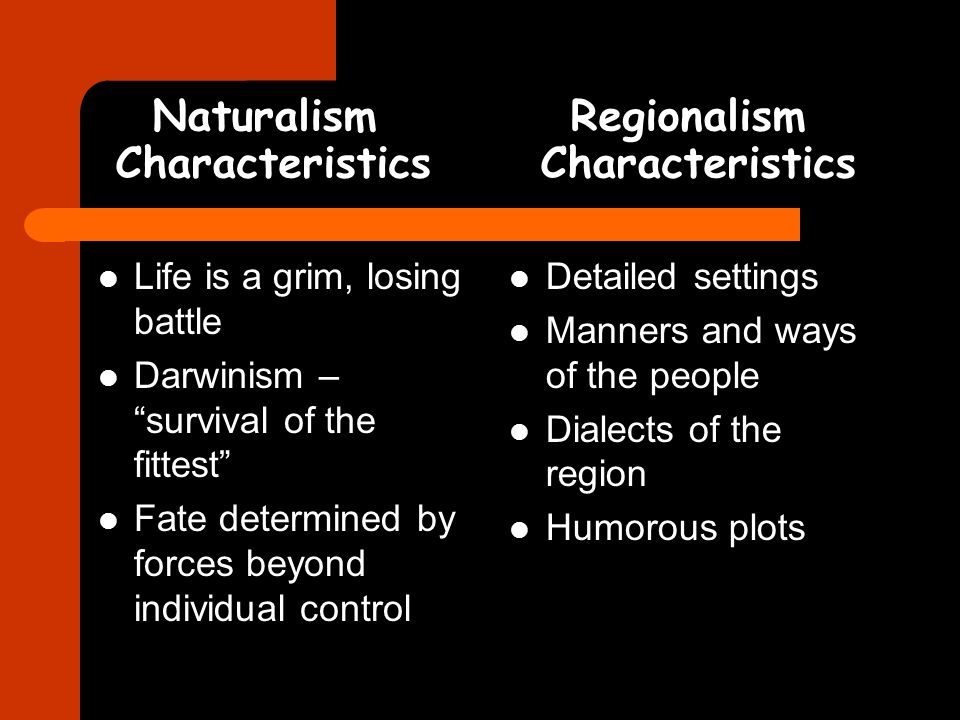 regionalism literature characteristics