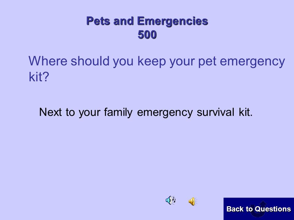 Pets and Emergencies 400 What is one of the best things to keep all of your pet emergency survival kit items in.
