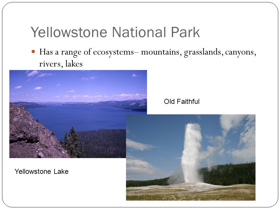Yellowstone National Park Has a range of ecosystems– mountains, grasslands, canyons, rivers, lakes Yellowstone Lake Old Faithful