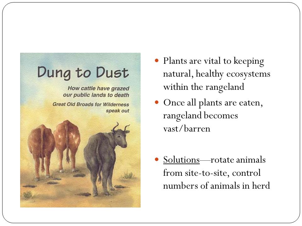 Plants are vital to keeping natural, healthy ecosystems within the rangeland Once all plants are eaten, rangeland becomes vast/barren Solutions—rotate animals from site-to-site, control numbers of animals in herd