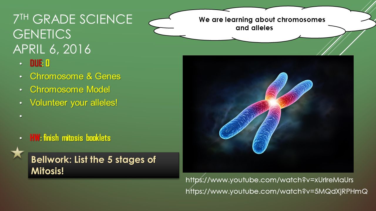 GENETICS 7 th grade life Science. 7 TH GRADE SCIENCE GENETICS APRIL 4 ...