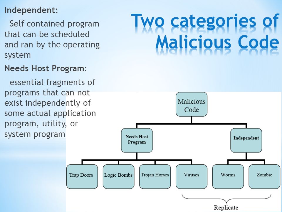 A Computer Program is designed to achieve a particular function Malicious when the designed to cause adverse effects