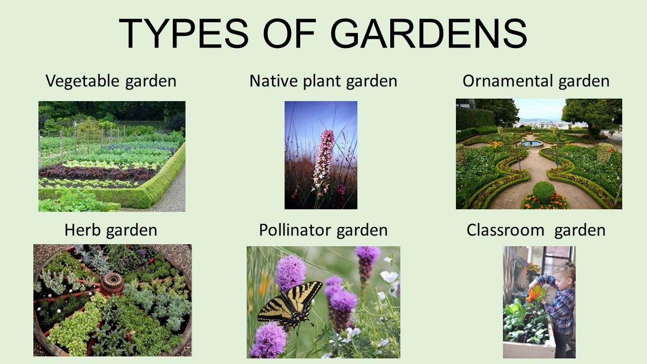 GARDENING. WHY IS GARDENING IMPORTANT? Teaches you how to grow your own  food Teaches you about plants and animals Teaches you about responsibility  and. - ppt download