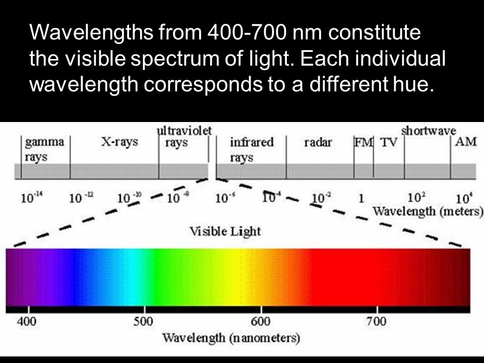 Красный световой луч с длиной волны 700. Light wavelength Spectra. Wavelength of Light. Light Spectrum. Visible Spectrum.