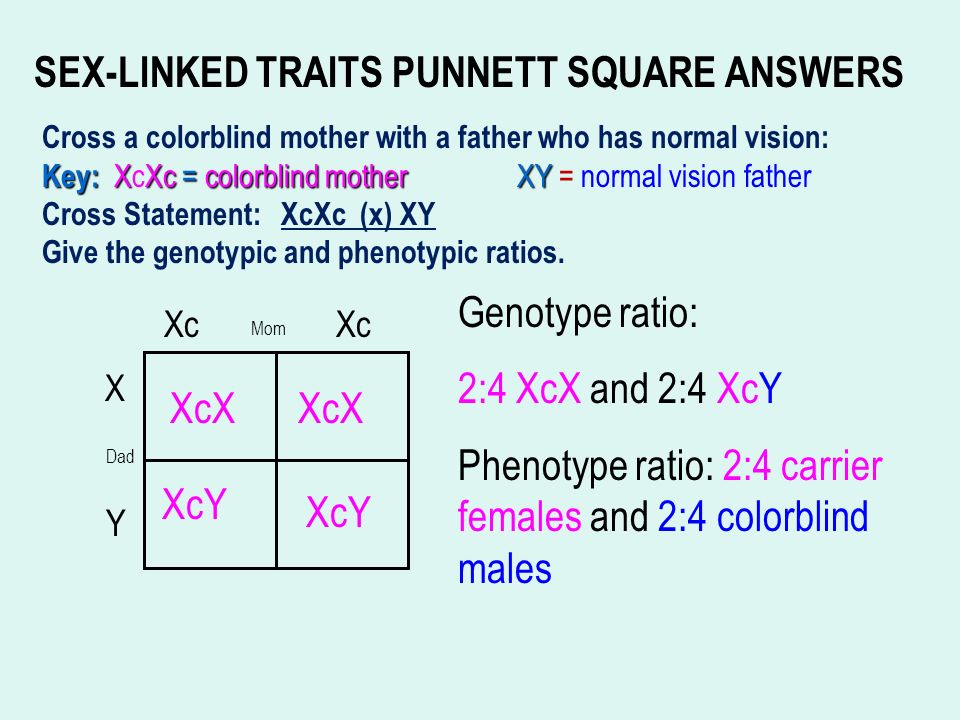 SEX-LINKED TRAITS PUNNETT SQUARE PRACTICE Cross a colorblind mother with a ...