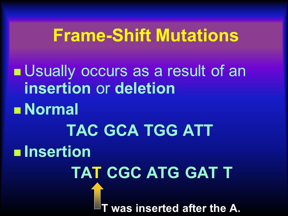 Frame-Shift Mutations Usually occurs as a result of an insertion or deletion Normal TAC GCA TGG ATT Insertion TAT CGC ATG GAT T T was inserted after the A.