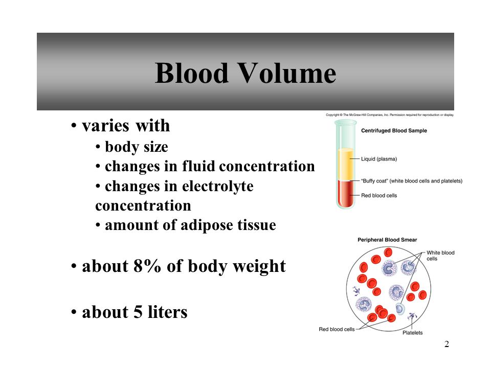 The Blood 1. 2 Blood Volume varies with body size changes in fluid  concentration changes in electrolyte concentration amount of adipose tissue  about 8% - ppt download