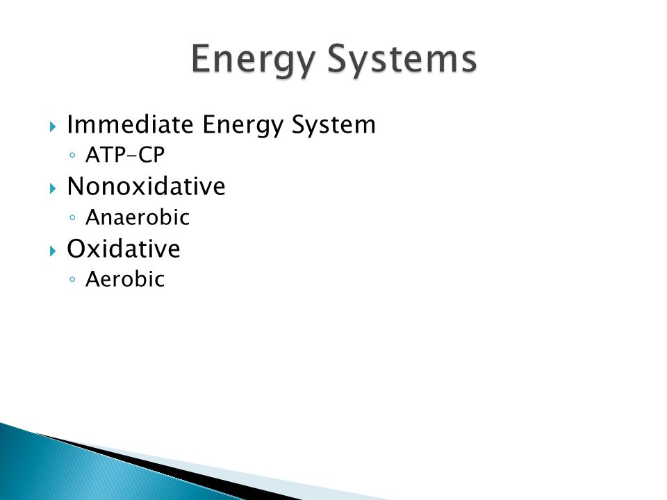 The Non-oxidative Energy System Could Provide Energy For Up To Chapter Three. Four Chambers Atria Ventricles Atrioventricular Valves