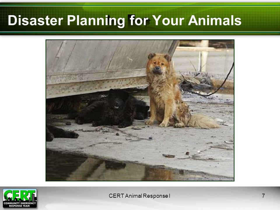 CERT Animal Response I7 Disaster Planning for Your Animals