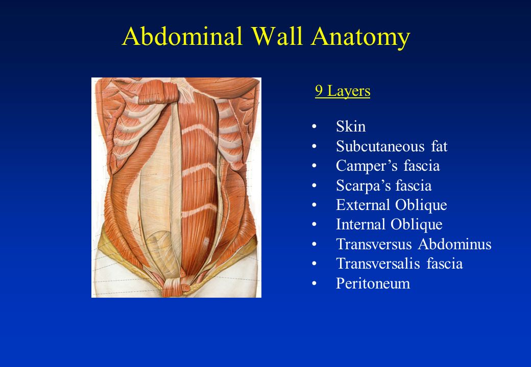 Hernia Tulane University Department of Surgery. What is a Hernia?  Congenital or Acquired defect in the abdominal wall Herniorrhaphy is one of  the most. - ppt download