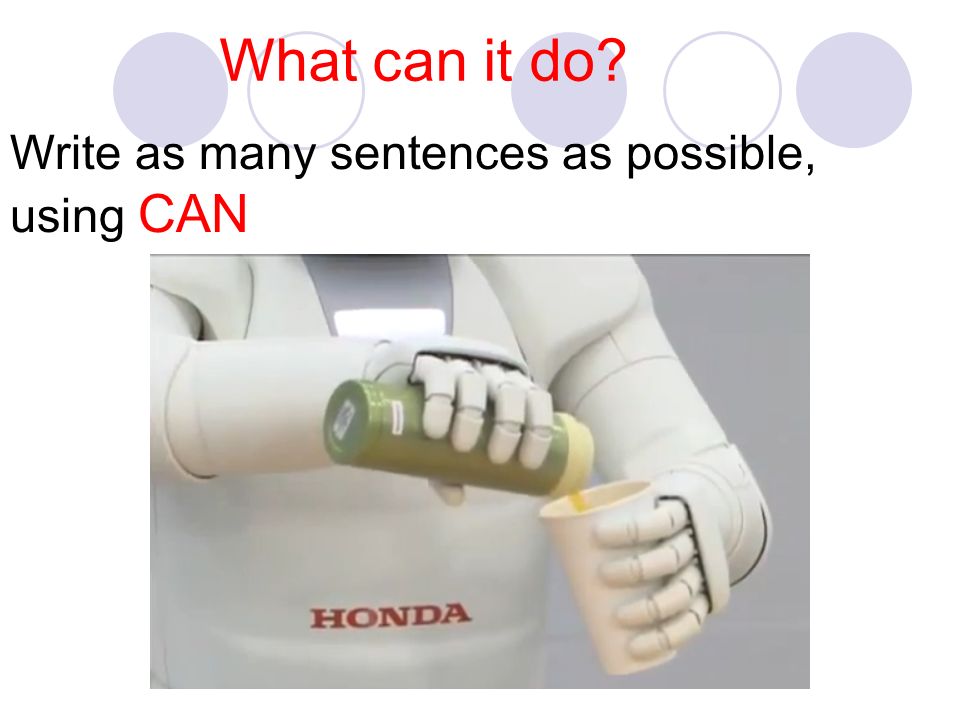 Write as many sentences as possible, using CAN What can it do