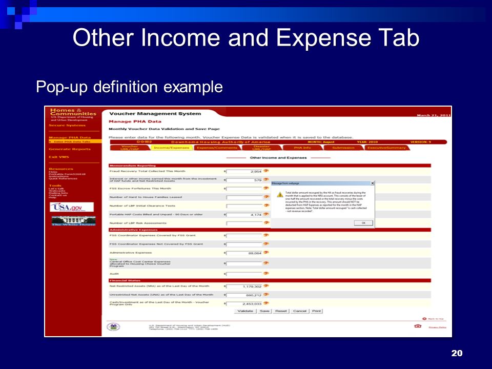 20 Other Income and Expense Tab Pop-up definition example