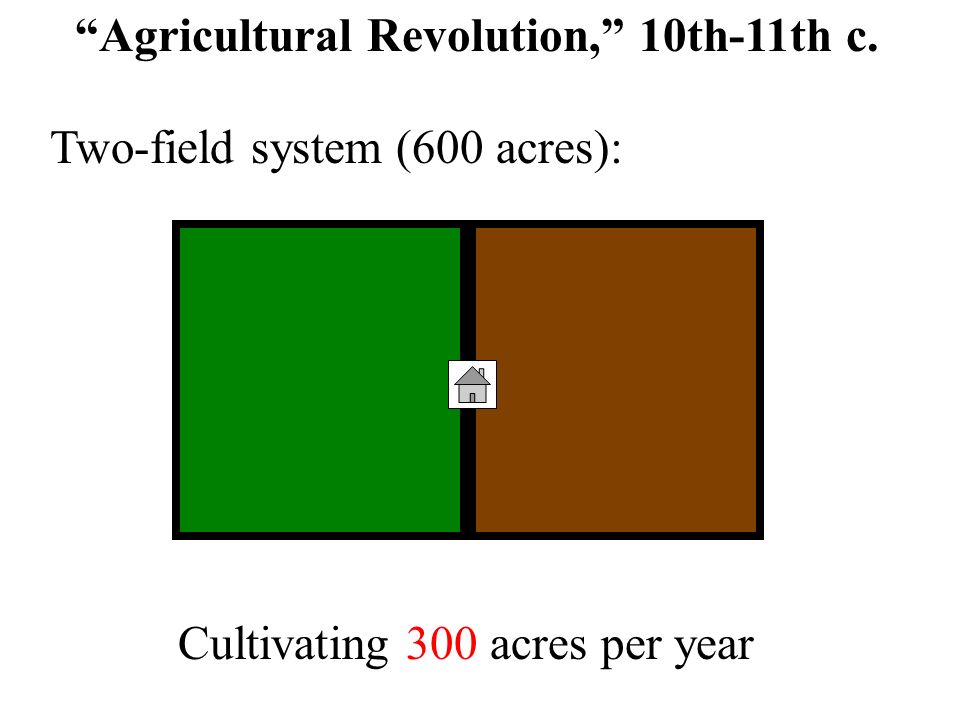 Types of peasant dwellings: Isolated farmsteads:in-field and out-field  cultivation Nucleated villages:open-field farming Diet of grain-based  products supplemented. - ppt download