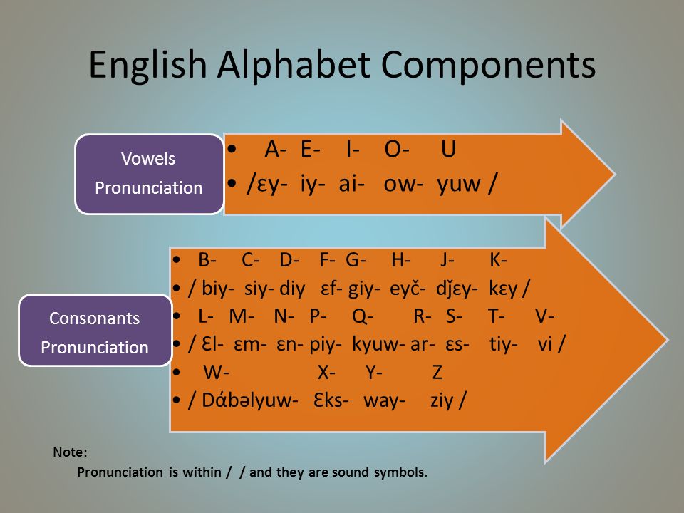 Terraba Week 3 Summary Topics Alphabet The Dictionary Affixes Ppt Download