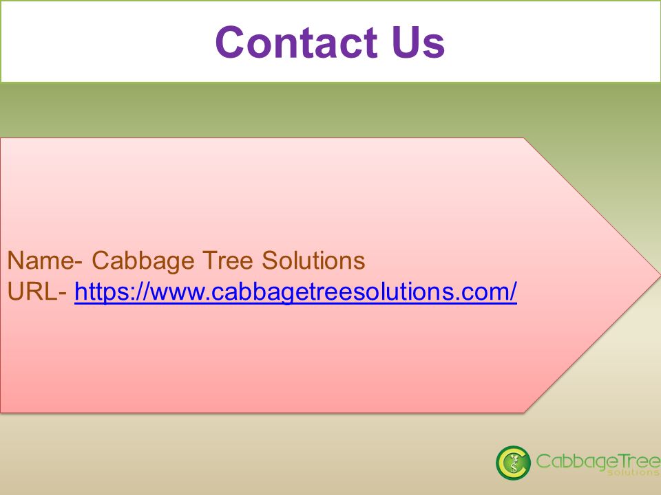Contact Us Name- Cabbage Tree Solutions URL-   Name- Cabbage Tree Solutions URL-