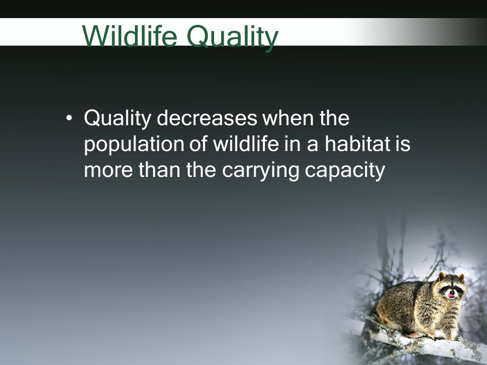 Wildlife Quality Quality decreases when the population of wildlife in a habitat is more than the carrying capacity
