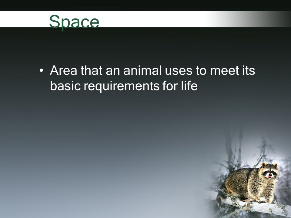 Space Area that an animal uses to meet its basic requirements for life