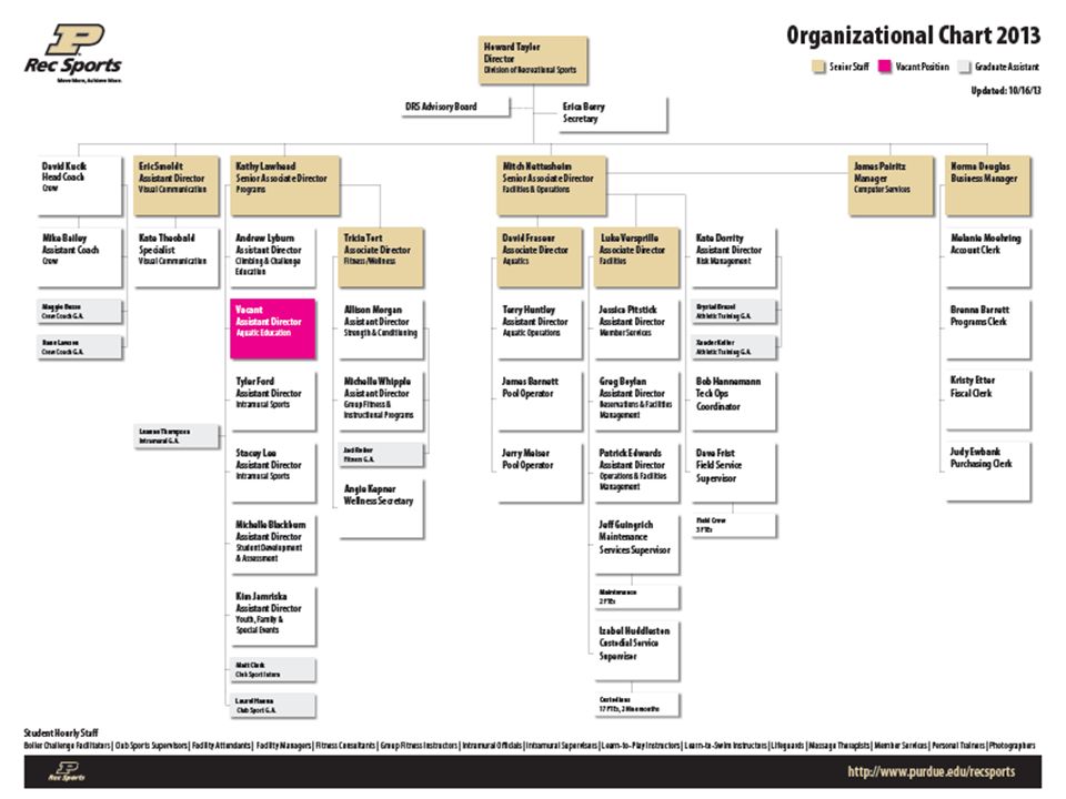 Organizational Chart Sports Management
