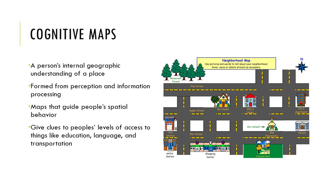 COGNITIVE MAPS A person’s internal geographic understanding of a place Formed from perception and information processing Maps that guide people’s spatial behavior Give clues to peoples’ levels of access to things like education, language, and transportation