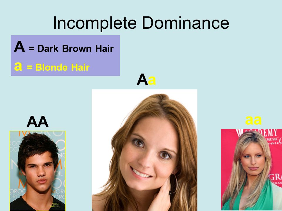 How do alleles come into existence? We probably used to have one 1 allele  for every trait. Original Alleles Hair color = Brown Eye color = Brown Hair.  - ppt download