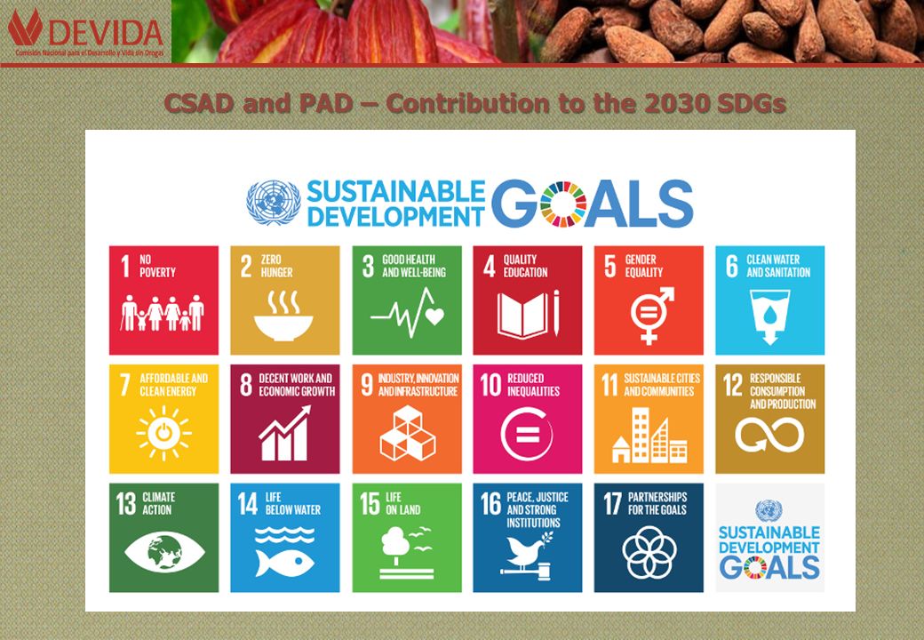 CSAD and PAD – Contribution to the 2030 SDGs