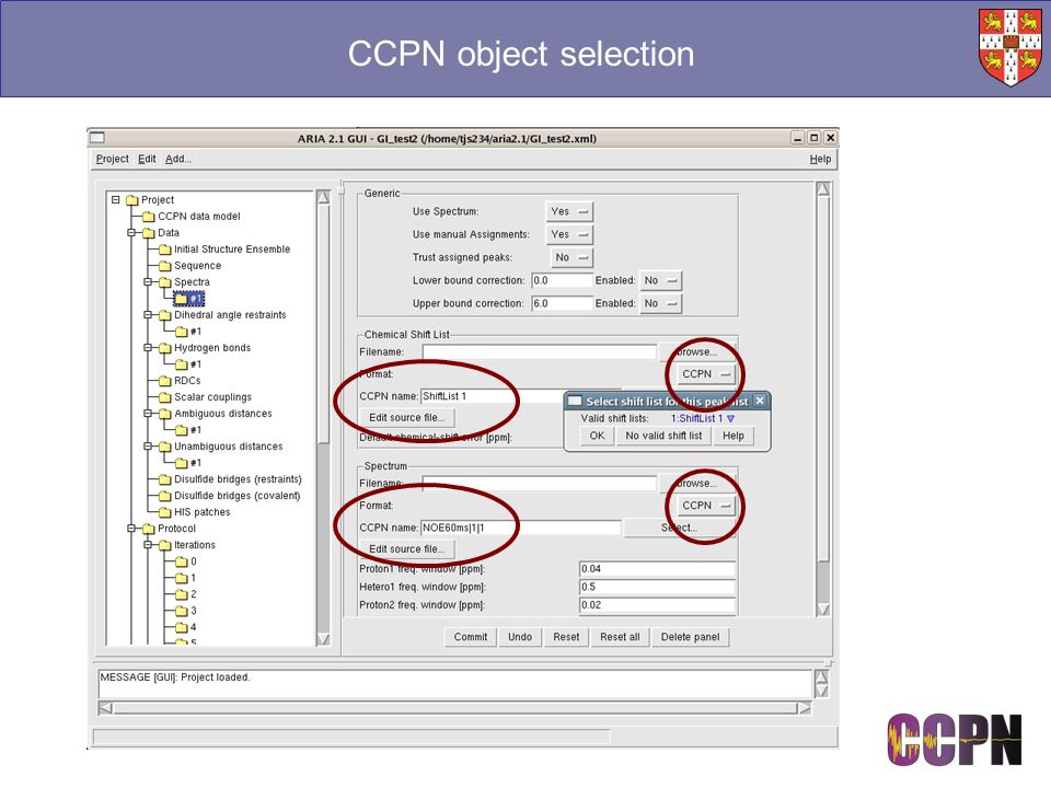 CCPN object selection