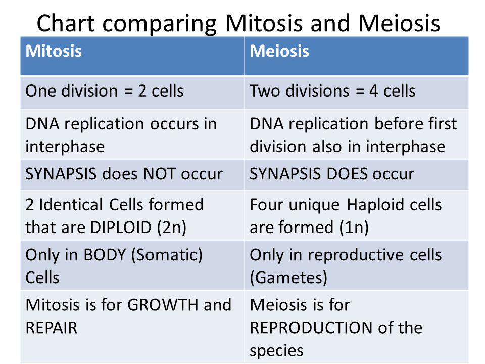 Chart comparing Mitosis and Meiosis MitosisMeiosis One division = 2 cellsTw...