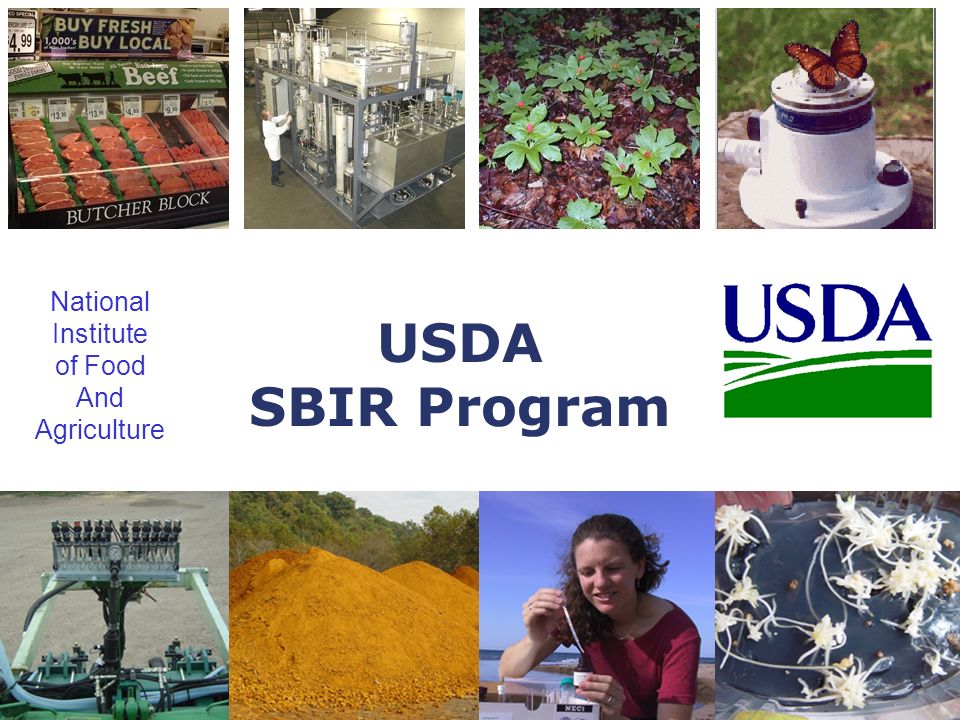 SBIR USDA SBIR Program National Institute of Food And Agriculture