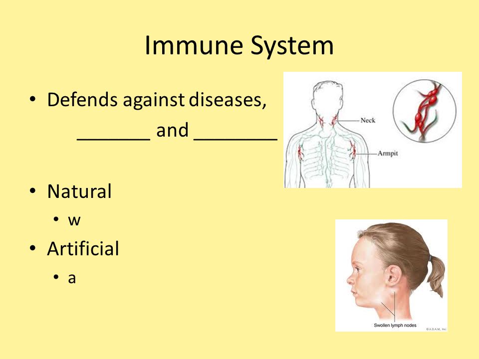 Immune System Defends against diseases, _______ and ________ Natural w Artificial a