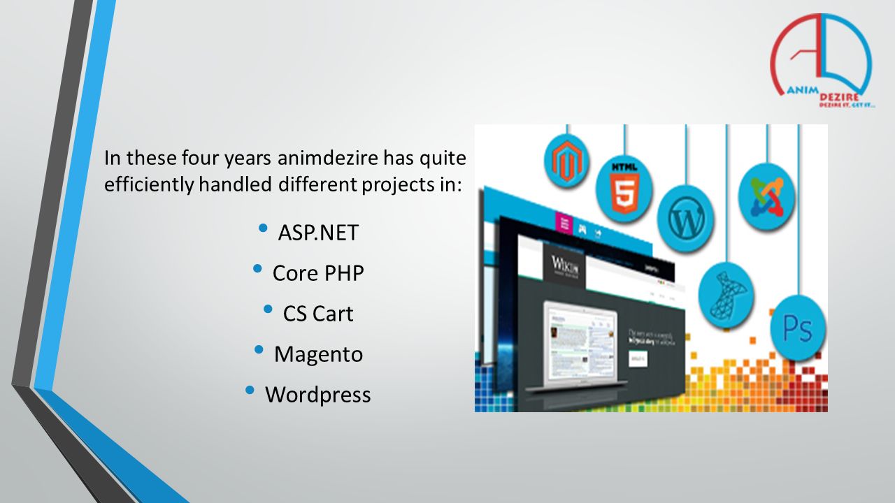 In these four years animdezire has quite efficiently handled different projects in: ASP.NET Core PHP CS Cart Magento Wordpress